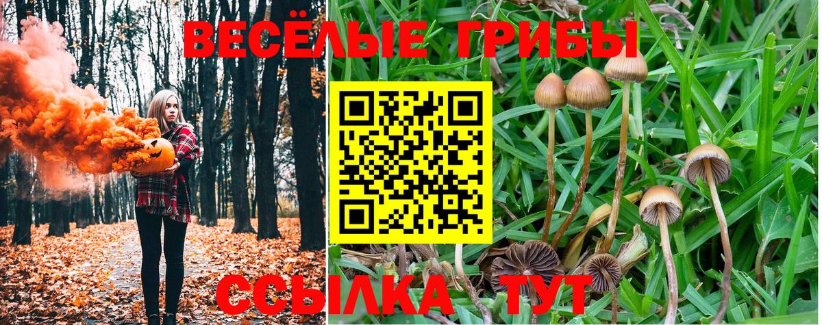 Галлюциногенные грибы ЛСД Тосно