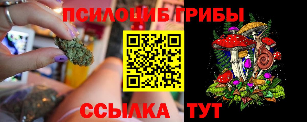 Тосно  Псилоцибиновые грибы Cubensis  Галлюциногенные грибы ЛСД  Вход с VPN 